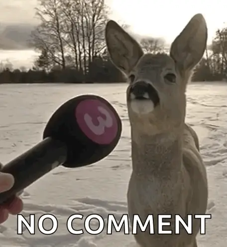 A deer held up to a TV interview microphone, captioned NO COMMENT
